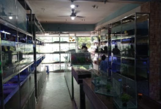 Aquarium Gallery购物图片