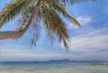 MY Scuba购物图片