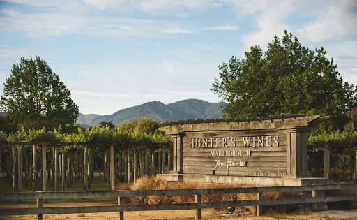 Hunter's Wines Cellar Door & Wine Shop