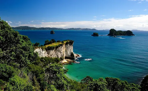 Stingray Bay