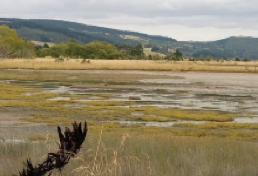 Orokonui Scenic Reserve景点图片