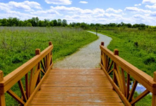 Wetland Loop Trail景点图片