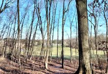 Deming Young Farm Foundation景点图片