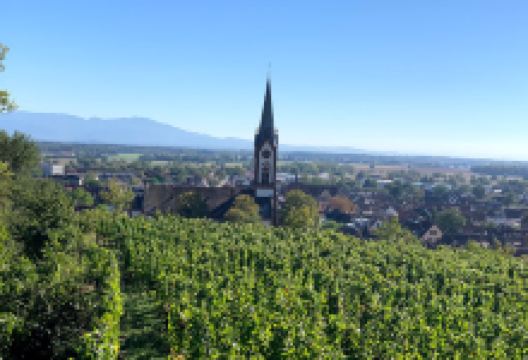 Kaiserstuhl Camping景点图片