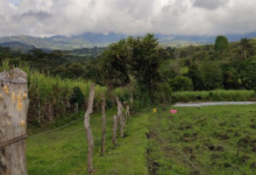 TIERRA PROMETIDA景点图片