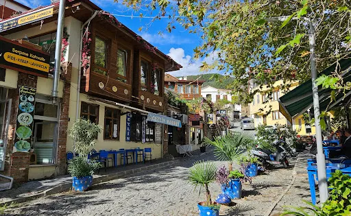 Altinoluk Merkez Parki