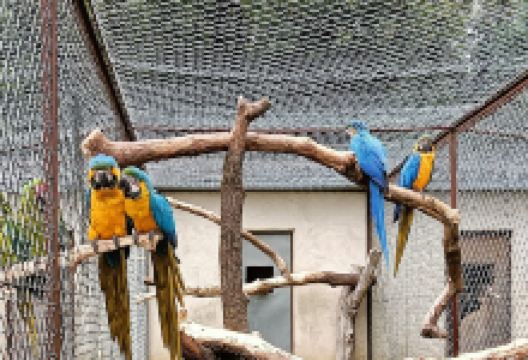 Zoo Upie景点图片