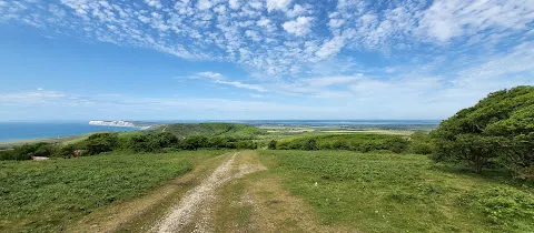 Brighstone Forest