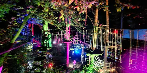 Go Ape Bedgebury （Treetop Challenge, Treetop Adventure, Zip Lines, High Ropes）