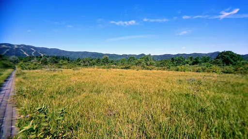 Hiruganoshitsugen Botanical Garden