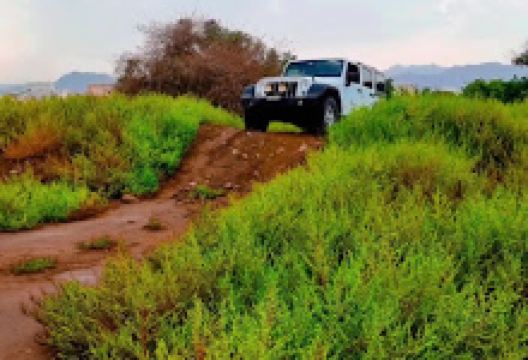 Zubara Heritage Area景点图片