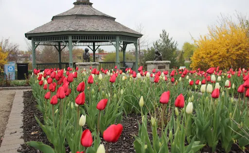 Dominion Gardens Park