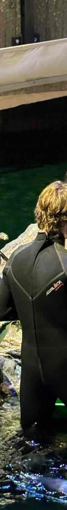 新英格兰水族馆-波士顿-YoYo_4P4L9F6V