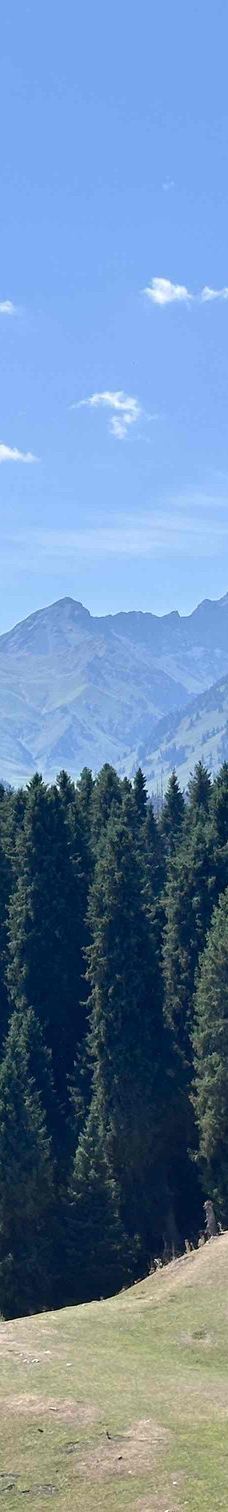 库尔德宁景区-巩留