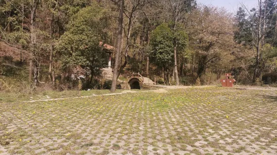 黃花幽境