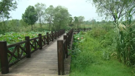 花山公園