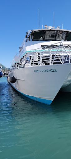 Kenai Fjords Tours-西沃德