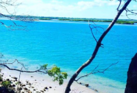 Caravan and Camping Woodgate景点图片