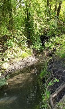 Dr. Martin Luther King Jr Park-科瓦利斯