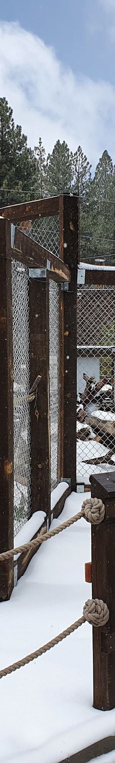 大熊湖动物园-大熊湖