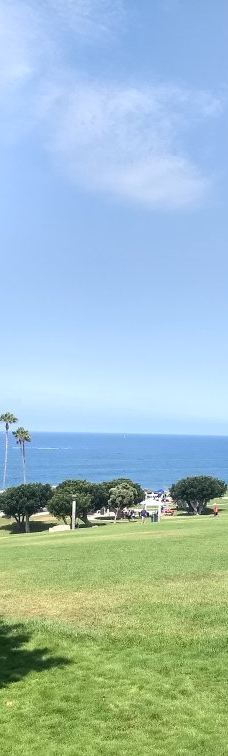 Salt Creek Beach-达纳点