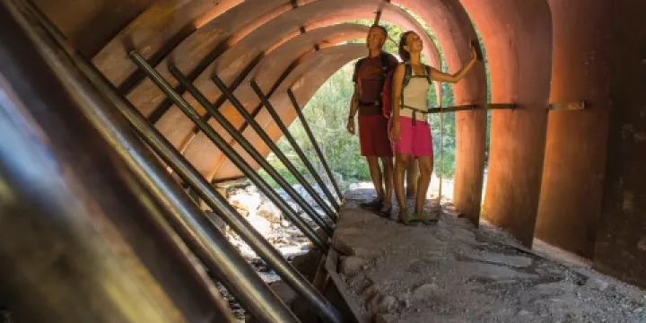 Grosses Walsertal植物園