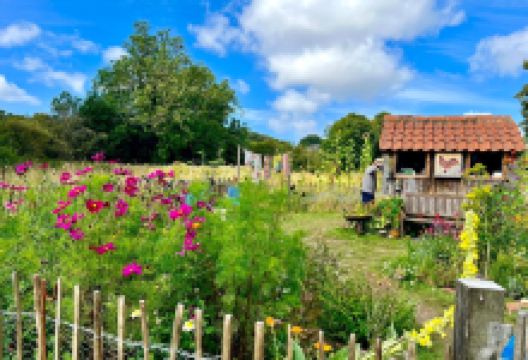 Crook Hall & Gardens景点图片