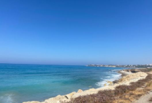 Mountain Bike Cyprus & Velo-Cyprus购物图片