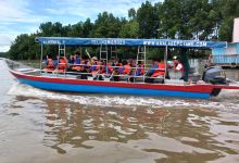 Matang Mangrove Forest Reserve, Kuala Sepetang景点图片