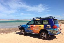 Shark Bay Ocean Park Aquarium景点图片