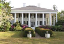 Columns Plantation景点图片