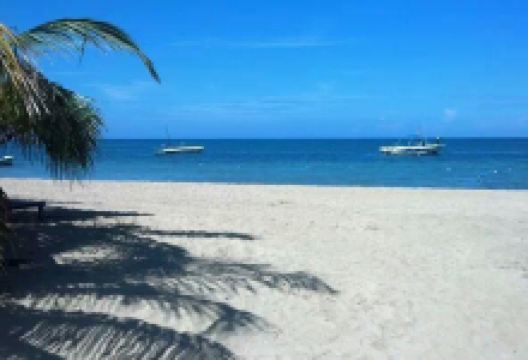 Sharkies Beach景点图片