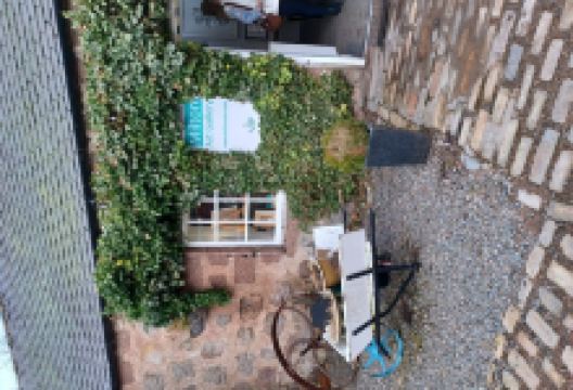 Milton Art Gallery景点图片