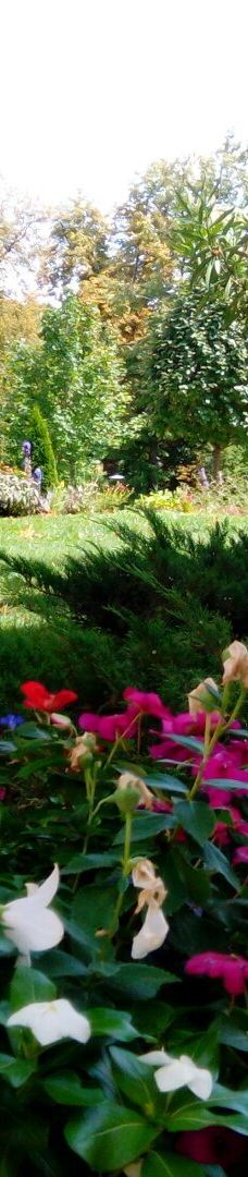 瓦萨里画廊-巴拉顿菲赖德