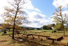 夏见廃寺迹景点图片