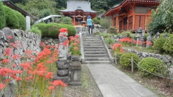 常楽寺