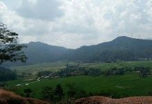 Pasir Ipis景点图片