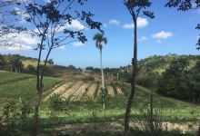 Finca Tungasuk景点图片