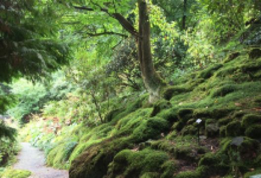 Botanischer Garten景点图片