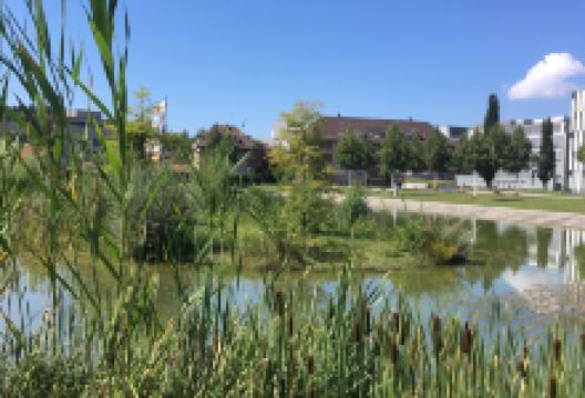 Liebefeld Park景点图片