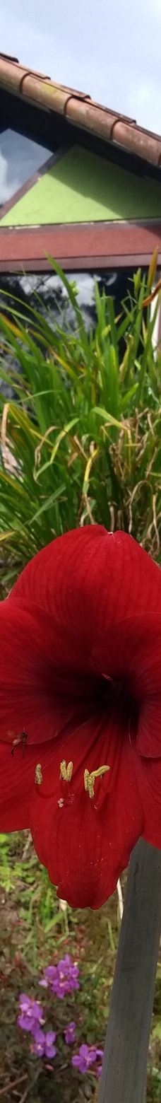 Granja La Cascada-La Frontera