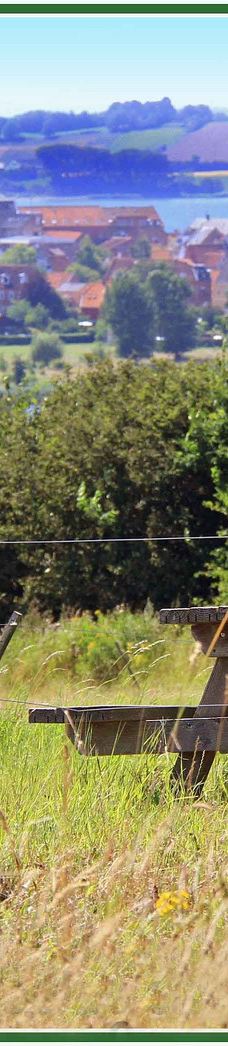 Svanninge Bakker-福堡