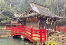 厳岛神社景点图片