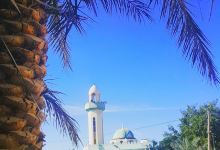 ALKhuder Mosque景点图片