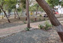 बाल उद्यान पोलिस मुख्यालिय अकोला(Children's Park)景点图片