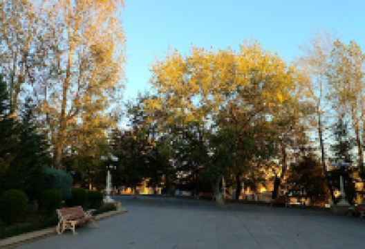 Şamaxı Gənclər Parkı景点图片