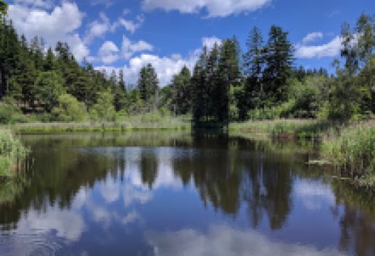 Lansermoor景点图片