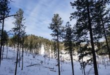 Deer Field Trail #40景点图片