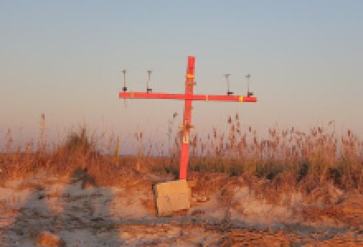 Egg Island Fish and Wildlife Management Area景点图片