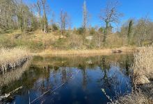 Herzogenmatt Nature Reserve景点图片